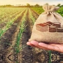 اخذ مجوز سرمایه‌گذاری خارجی ۶ میلیارد دلاری در بخش کشاورزی
