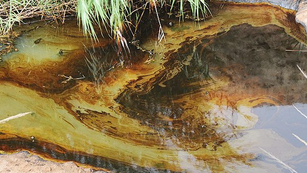 دو دهه بلاتکلیفی زیست محیطی مناطق آلوده نفتی مسجدسلیمان!